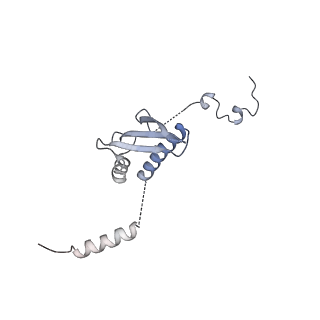11391_6zsa_p_v1-0
Human mitochondrial ribosome bound to mRNA, A-site tRNA and P-site tRNA