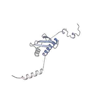 11391_6zsa_p_v2-0
Human mitochondrial ribosome bound to mRNA, A-site tRNA and P-site tRNA