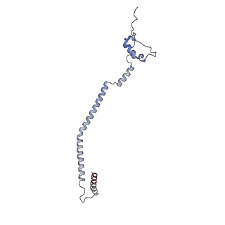11391_6zsa_q_v1-0
Human mitochondrial ribosome bound to mRNA, A-site tRNA and P-site tRNA