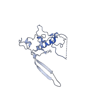 11391_6zsa_r_v2-0
Human mitochondrial ribosome bound to mRNA, A-site tRNA and P-site tRNA