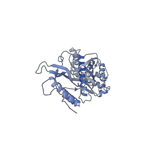 11391_6zsa_s_v1-0
Human mitochondrial ribosome bound to mRNA, A-site tRNA and P-site tRNA