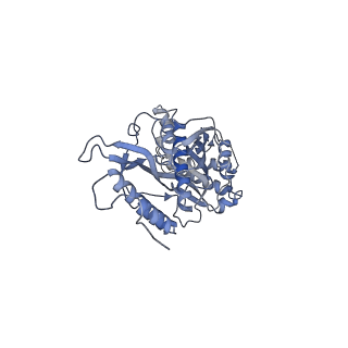 11391_6zsa_s_v2-0
Human mitochondrial ribosome bound to mRNA, A-site tRNA and P-site tRNA