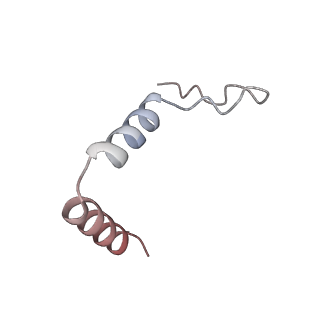 11391_6zsa_t1_v1-0
Human mitochondrial ribosome bound to mRNA, A-site tRNA and P-site tRNA