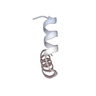 11391_6zsa_t3_v1-0
Human mitochondrial ribosome bound to mRNA, A-site tRNA and P-site tRNA