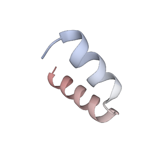 11391_6zsa_t5_v1-0
Human mitochondrial ribosome bound to mRNA, A-site tRNA and P-site tRNA