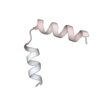11391_6zsa_t6_v1-0
Human mitochondrial ribosome bound to mRNA, A-site tRNA and P-site tRNA