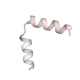 11391_6zsa_t6_v2-0
Human mitochondrial ribosome bound to mRNA, A-site tRNA and P-site tRNA