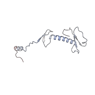 11392_6zsb_0_v1-1
Human mitochondrial ribosome in complex with mRNA and P-site tRNA