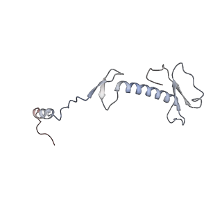 11392_6zsb_0_v4-1
Human mitochondrial ribosome in complex with mRNA and P-site tRNA