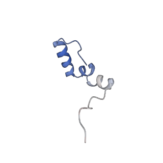 11392_6zsb_2_v1-1
Human mitochondrial ribosome in complex with mRNA and P-site tRNA