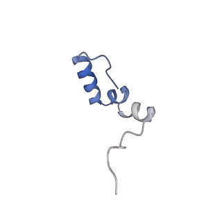 11392_6zsb_2_v4-1
Human mitochondrial ribosome in complex with mRNA and P-site tRNA