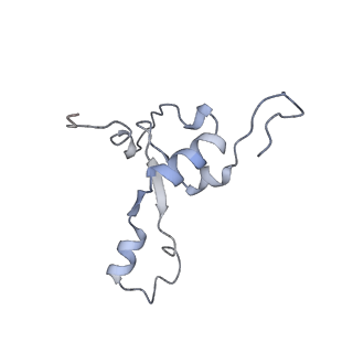 11392_6zsb_3_v1-1
Human mitochondrial ribosome in complex with mRNA and P-site tRNA