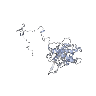 11392_6zsb_5_v1-1
Human mitochondrial ribosome in complex with mRNA and P-site tRNA