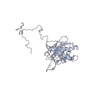 11392_6zsb_5_v4-0
Human mitochondrial ribosome in complex with mRNA and P-site tRNA