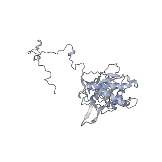 11392_6zsb_5_v4-1
Human mitochondrial ribosome in complex with mRNA and P-site tRNA