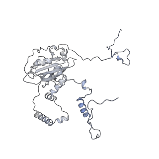 11392_6zsb_6_v1-1
Human mitochondrial ribosome in complex with mRNA and P-site tRNA