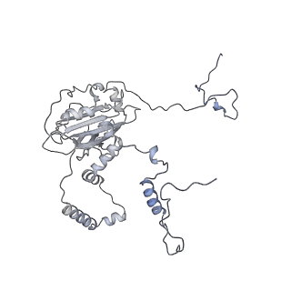 11392_6zsb_6_v2-0
Human mitochondrial ribosome in complex with mRNA and P-site tRNA