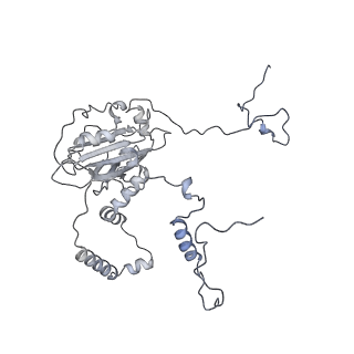 11392_6zsb_6_v4-1
Human mitochondrial ribosome in complex with mRNA and P-site tRNA