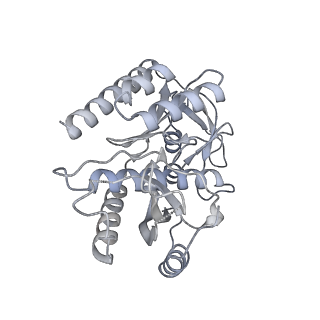 11392_6zsb_7_v4-1
Human mitochondrial ribosome in complex with mRNA and P-site tRNA