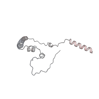 11392_6zsb_8_v4-1
Human mitochondrial ribosome in complex with mRNA and P-site tRNA