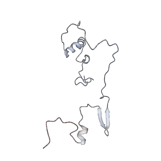 11392_6zsb_9_v4-1
Human mitochondrial ribosome in complex with mRNA and P-site tRNA