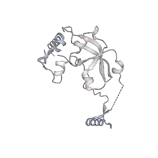 11392_6zsb_A0_v1-1
Human mitochondrial ribosome in complex with mRNA and P-site tRNA