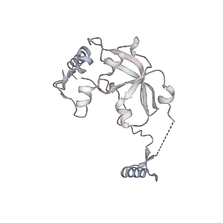 11392_6zsb_A0_v4-0
Human mitochondrial ribosome in complex with mRNA and P-site tRNA