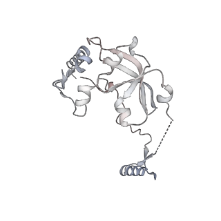 11392_6zsb_A0_v4-1
Human mitochondrial ribosome in complex with mRNA and P-site tRNA