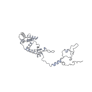 11392_6zsb_A1_v4-1
Human mitochondrial ribosome in complex with mRNA and P-site tRNA