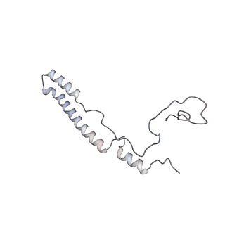 11392_6zsb_A2_v4-1
Human mitochondrial ribosome in complex with mRNA and P-site tRNA