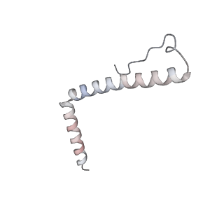 11392_6zsb_A3_v4-1
Human mitochondrial ribosome in complex with mRNA and P-site tRNA