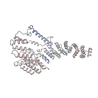 11392_6zsb_A4_v1-1
Human mitochondrial ribosome in complex with mRNA and P-site tRNA