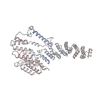 11392_6zsb_A4_v4-1
Human mitochondrial ribosome in complex with mRNA and P-site tRNA