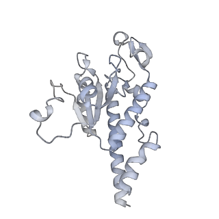 11392_6zsb_AB_v4-1
Human mitochondrial ribosome in complex with mRNA and P-site tRNA