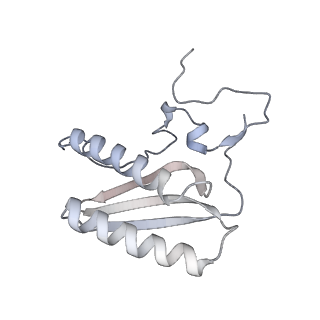 11392_6zsb_AC_v1-1
Human mitochondrial ribosome in complex with mRNA and P-site tRNA