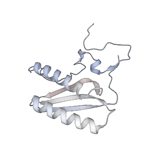 11392_6zsb_AC_v4-1
Human mitochondrial ribosome in complex with mRNA and P-site tRNA