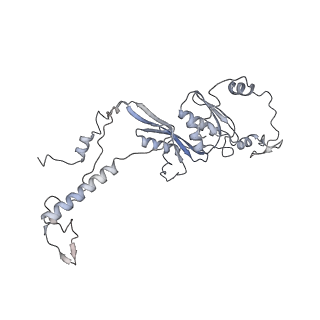 11392_6zsb_AD_v4-1
Human mitochondrial ribosome in complex with mRNA and P-site tRNA