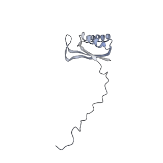 11392_6zsb_AE_v4-1
Human mitochondrial ribosome in complex with mRNA and P-site tRNA