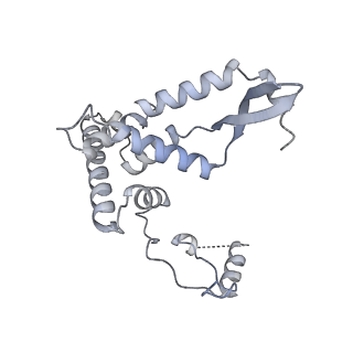 11392_6zsb_AF_v1-1
Human mitochondrial ribosome in complex with mRNA and P-site tRNA
