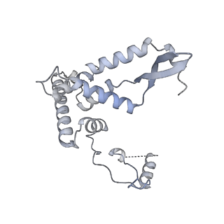 11392_6zsb_AF_v4-1
Human mitochondrial ribosome in complex with mRNA and P-site tRNA