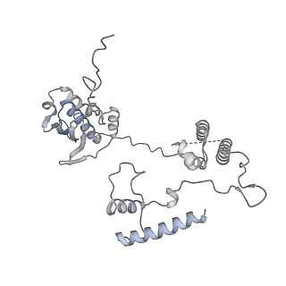 11392_6zsb_AG_v1-1
Human mitochondrial ribosome in complex with mRNA and P-site tRNA