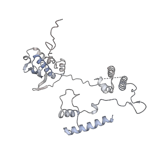 11392_6zsb_AG_v4-1
Human mitochondrial ribosome in complex with mRNA and P-site tRNA