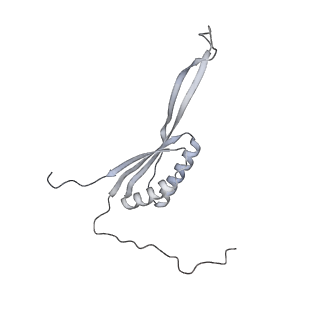 11392_6zsb_AH_v4-1
Human mitochondrial ribosome in complex with mRNA and P-site tRNA