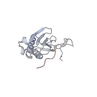 11392_6zsb_AI_v1-1
Human mitochondrial ribosome in complex with mRNA and P-site tRNA