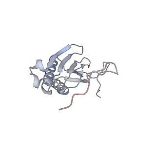 11392_6zsb_AI_v4-1
Human mitochondrial ribosome in complex with mRNA and P-site tRNA