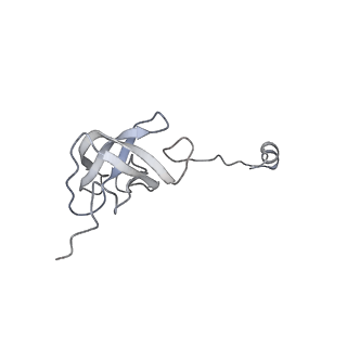 11392_6zsb_AJ_v4-1
Human mitochondrial ribosome in complex with mRNA and P-site tRNA