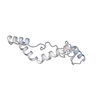 11392_6zsb_AK_v1-1
Human mitochondrial ribosome in complex with mRNA and P-site tRNA