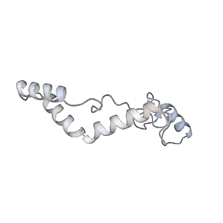 11392_6zsb_AK_v2-0
Human mitochondrial ribosome in complex with mRNA and P-site tRNA