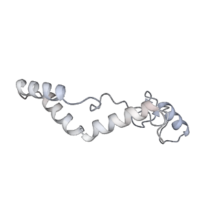 11392_6zsb_AK_v3-0
Human mitochondrial ribosome in complex with mRNA and P-site tRNA
