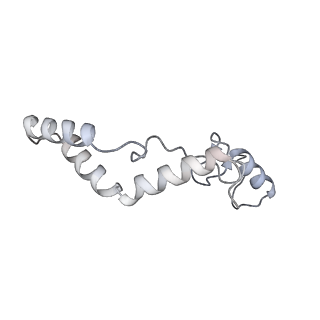 11392_6zsb_AK_v4-0
Human mitochondrial ribosome in complex with mRNA and P-site tRNA